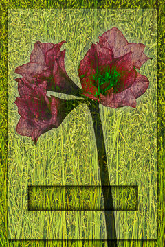 LE-FLL-08&nbsp;&nbsp;&nbsp;&nbsp;&nbsp;&nbsp;&nbsp;&nbsp; Amarilias