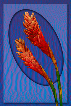 LE-FLL-20&nbsp;&nbsp;&nbsp;&nbsp;&nbsp;&nbsp;&nbsp;&nbsp; Ginger