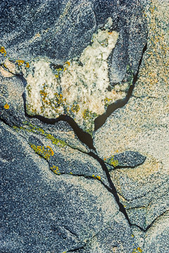 PFM-43&nbsp;&nbsp;&nbsp;&nbsp;&nbsp;&nbsp;&nbsp;&nbsp; Rock Detail, Pemaquid Point Lighthouse, Maine