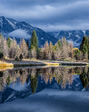 LE-AM-LA-006&nbsp;&nbsp;&nbsp;&nbsp;&nbsp;&nbsp;&nbsp;&nbsp; Reflections At Schwabacher Landing, Grand Teton National Park, Wyoming