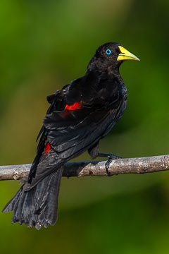 BR-B-32 Guache, Coastal Region Of Bahia, Brazil