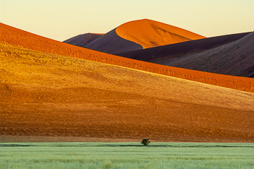 LE-AF-LA-149 The Last Light At The Desert, Namib-Naukluft National Park, Namib Desert, Namibia