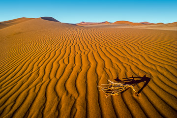LE-AF-LA-19 Perspective Pattern, Namib-Naukluft National Park, Namib Desert, Namibia