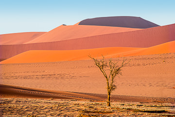AF-LA-22&nbsp;&nbsp;&nbsp;&nbsp;&nbsp;&nbsp;&nbsp;&nbsp; Dune Layers, Namib Desert, Namibia, Africa