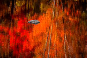 LE-AM-MIS-07&nbsp;&nbsp;&nbsp;&nbsp;&nbsp;&nbsp;&nbsp;&nbsp; Reflected Colors Of Autumn, Near Queeche, Vermont