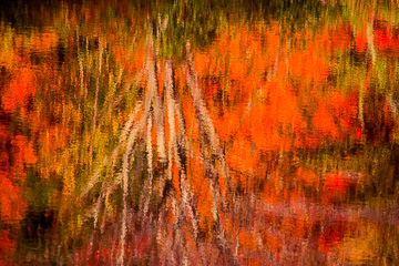 LE-AM-MIS-08&nbsp;&nbsp;&nbsp;&nbsp;&nbsp;&nbsp;&nbsp;&nbsp; Reflected Fall Colors, Near Queeche, Vermont