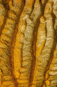 LE-SND-110&nbsp;&nbsp;&nbsp;&nbsp;&nbsp;&nbsp;&nbsp;&nbsp; Sand Design, Coast of Bahia, Brazil