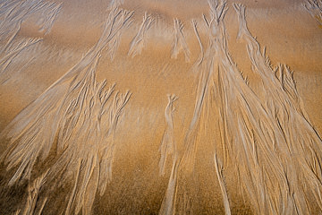 SND-190&nbsp;&nbsp;&nbsp;&nbsp;&nbsp;&nbsp;&nbsp;&nbsp; Sand Design