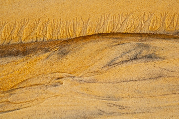 LE-SND-204&nbsp;&nbsp;&nbsp;&nbsp;&nbsp;&nbsp;&nbsp;&nbsp; Sand Design, Coast of Bahia, Brazil