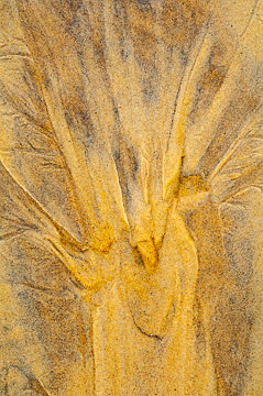 LE-SND-299&nbsp;&nbsp;&nbsp;&nbsp;&nbsp;&nbsp;&nbsp;&nbsp; Sand Design, Coast of Bahia, Brazil