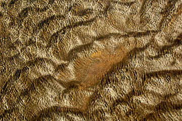 SND-346&nbsp;&nbsp;&nbsp;&nbsp;&nbsp;&nbsp;&nbsp;&nbsp; Sand Design