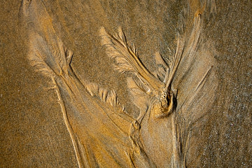 SND-358&nbsp;&nbsp;&nbsp;&nbsp;&nbsp;&nbsp;&nbsp;&nbsp; Sand Design