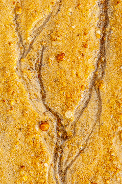 LE-SND-376&nbsp;&nbsp;&nbsp;&nbsp;&nbsp;&nbsp;&nbsp;&nbsp; Sand Design, Coast of Bahia, Brazil