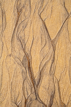 SND-44&nbsp;&nbsp;&nbsp;&nbsp;&nbsp;&nbsp;&nbsp;&nbsp; Sand Design