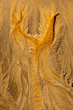 LE-SND-473&nbsp;&nbsp;&nbsp;&nbsp;&nbsp;&nbsp;&nbsp;&nbsp; Sand Design, Coast of Bahia, Brazil