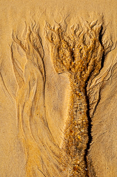 SND-530&nbsp;&nbsp;&nbsp;&nbsp;&nbsp;&nbsp;&nbsp;&nbsp; Sand Design