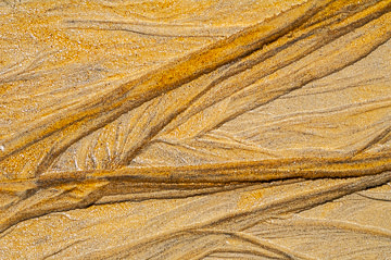 SND-559&nbsp;&nbsp;&nbsp;&nbsp;&nbsp;&nbsp;&nbsp;&nbsp; Sand Design