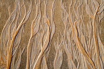 LE-SND-607&nbsp;&nbsp;&nbsp;&nbsp;&nbsp;&nbsp;&nbsp;&nbsp; Sand Design, Coast of Bahia, Brazil