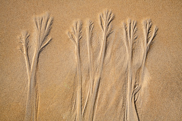 LE-SND-79&nbsp;&nbsp;&nbsp;&nbsp;&nbsp;&nbsp;&nbsp;&nbsp; Sand Design, Coast of Bahia, Brazil