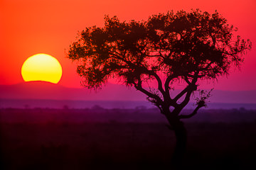 LE-AF-LA-10 Sunrise Near The Sabie River, Kruger National Park, South Africa