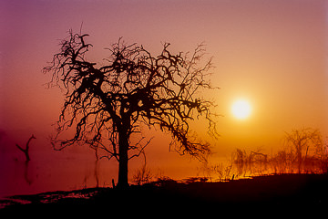 LE-AF-LA-06&nbsp;&nbsp;&nbsp;&nbsp;&nbsp;&nbsp;&nbsp;&nbsp; Sun Rising On Pond, Phinda Game Reserve, South Africa