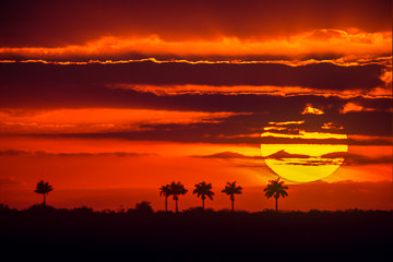 AM-LA-01 Sunset Near Anhinga Trail, Everglades National Park, Florida