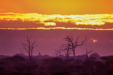 AF-LA-11 Sun Rising Behind Clouds, Kruger National Park, South Africa