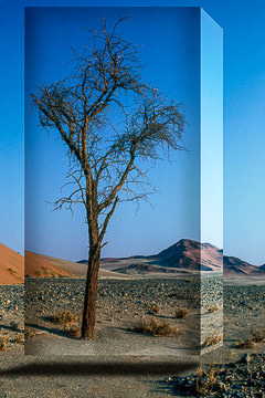 LE-SUR-10&nbsp;&nbsp;&nbsp;&nbsp;&nbsp;&nbsp;&nbsp;&nbsp; See Through Walls
