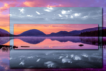 LE-SUR-14&nbsp;&nbsp;&nbsp;&nbsp;&nbsp;&nbsp;&nbsp;&nbsp; In The Absence Of Color