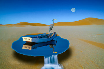 LE-SUR-18&nbsp;&nbsp;&nbsp;&nbsp;&nbsp;&nbsp;&nbsp;&nbsp; First Time