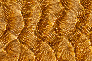 LE-BR-MIS-01&nbsp;&nbsp;&nbsp;&nbsp;&nbsp;&nbsp;&nbsp;&nbsp; Pattern From Moving Water, Beach On The Southeast Coast Of Bahia, Brazil