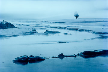 LE-AM-LA-01 Late Winter At Heyden Valley, Yellowstone National Park, Wyoming